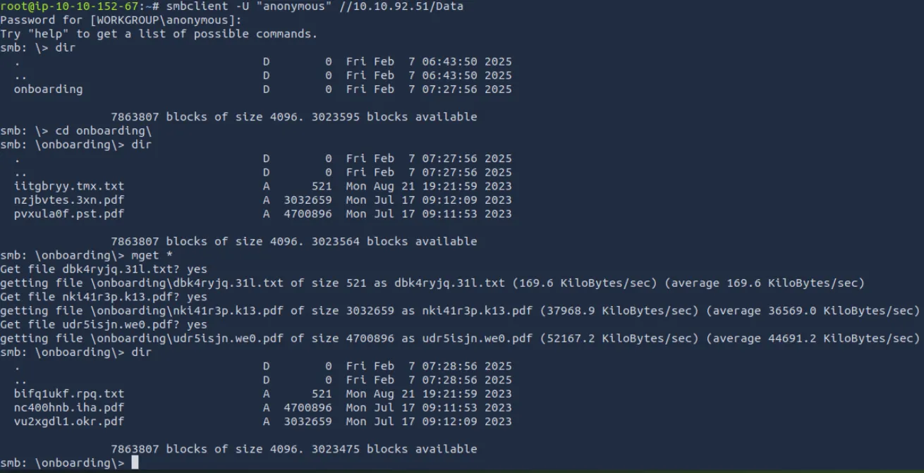 image-20250207152946792