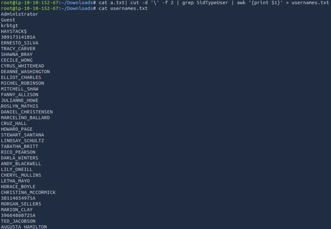 提取出的用户名列表