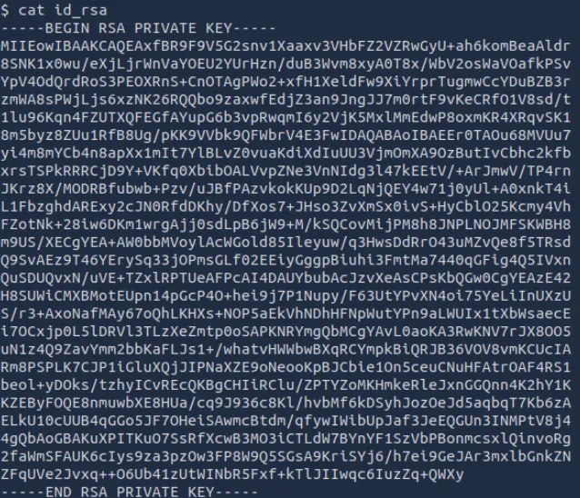 备份目录中的 SSH 私钥