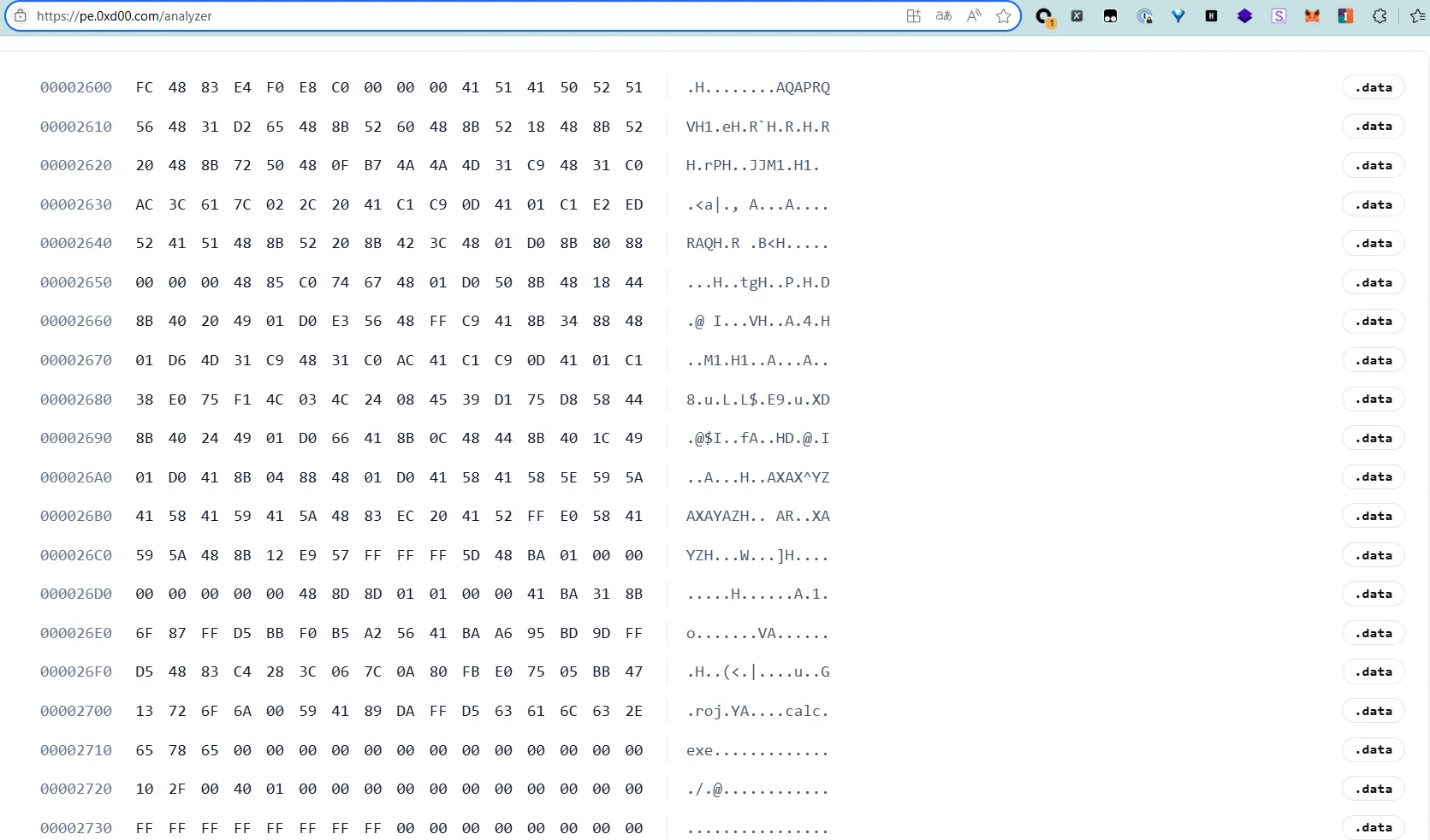 pe analyzer online hex view .data